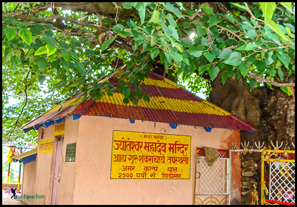 Temple Under The Kalpavriksha