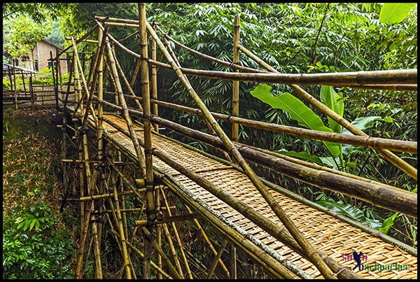 Bamboo Bridge 