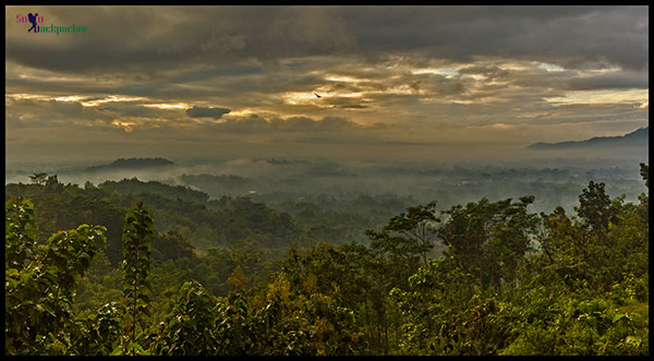 Mist-Filled Valley