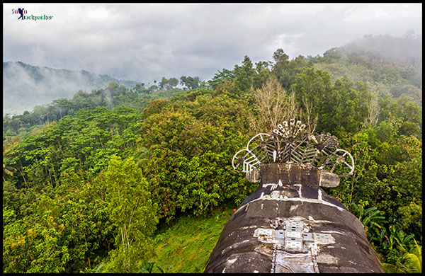 On the roof of Chicken Church