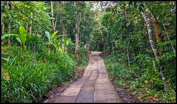 Another trail leading to the road