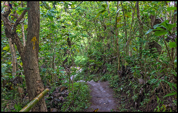 Trail to the Chicken Church