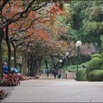 Hong Kong Memories: Kowloon City Park