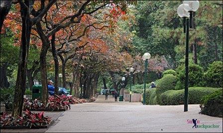 Read more about the article Hong Kong Memories: Kowloon City Park