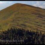 Roopkund Trek 9: Day Five Trekking From Pathar Nachauni to Didna Village via Ali Bugyal