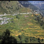 Roopkund Trek 10: Day Six and Final Trekking from Didna to Lohajung