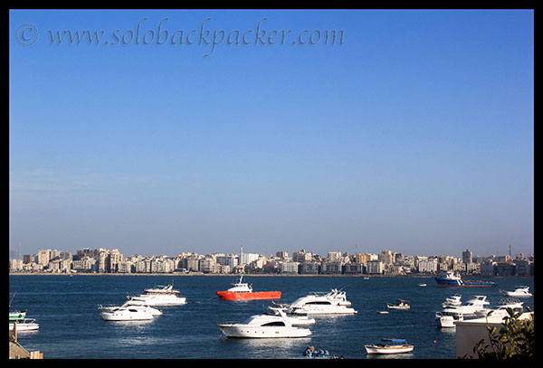 Read more about the article An Evening in Alexandria at The Coast of The Mediterranean Sea