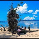 Exploring Around Port Blair: Wandoor and Mahatma Gandhi National Marine Park