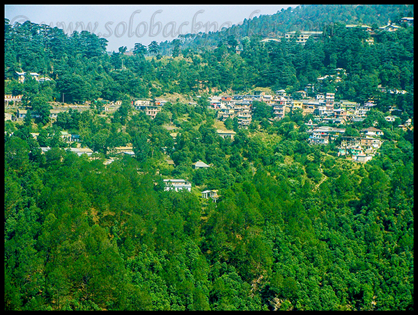 Green Surroundings of McLeodganj