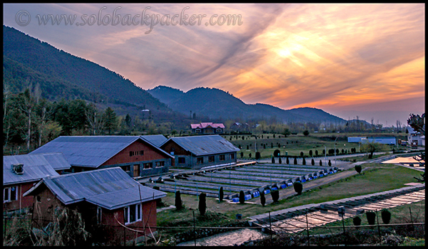 The Beautiful View from Kokernag Garden