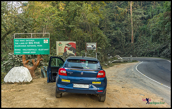 Road Through Kaziranga National Park