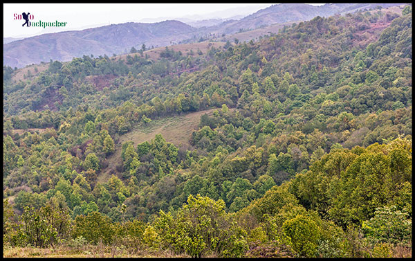 Green Forest Over a Hill at Mawphulnur