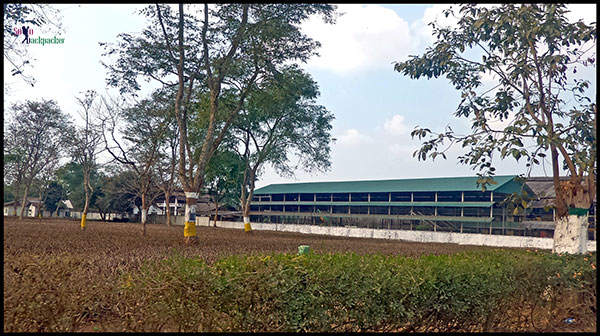 Tea Processing Unit At A Tea Estate in Tinsukia