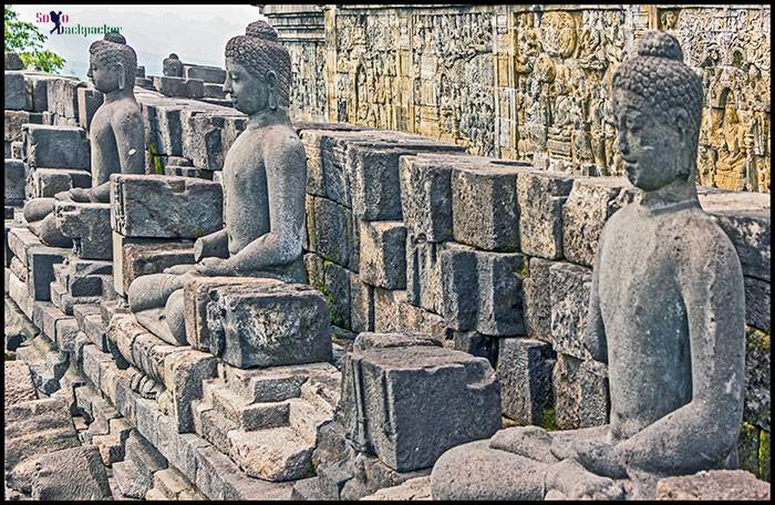 A Row Of Lord Budhha's Sttaues