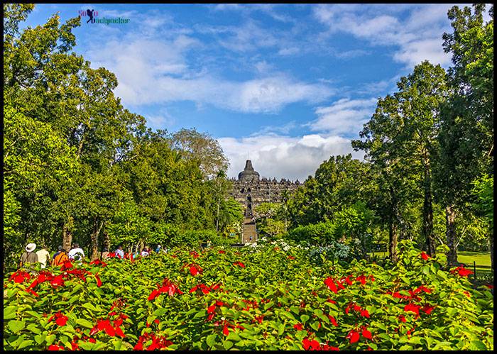 First Glimpse of Borobudur 