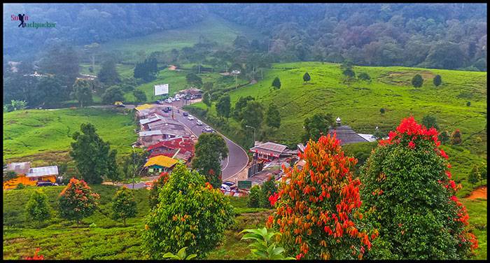 Puncak Tea Gardens