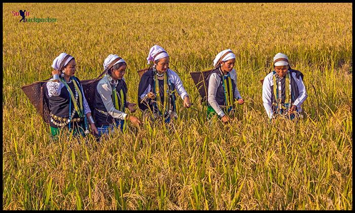 Basar Festival, Arunachal Pradesh