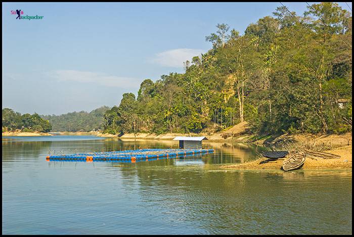 A Portion of Dumboor Lake Near Mandir Ghat 