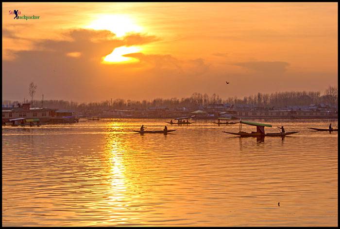 An Evening at Dal Lake