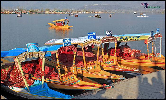 Shikaras on the bank of Dal Lake