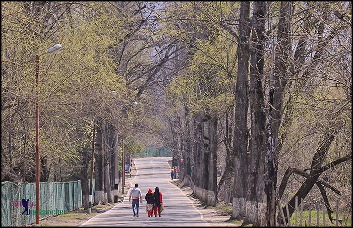 A pleasant walk towards Chasm-E-Shahi
