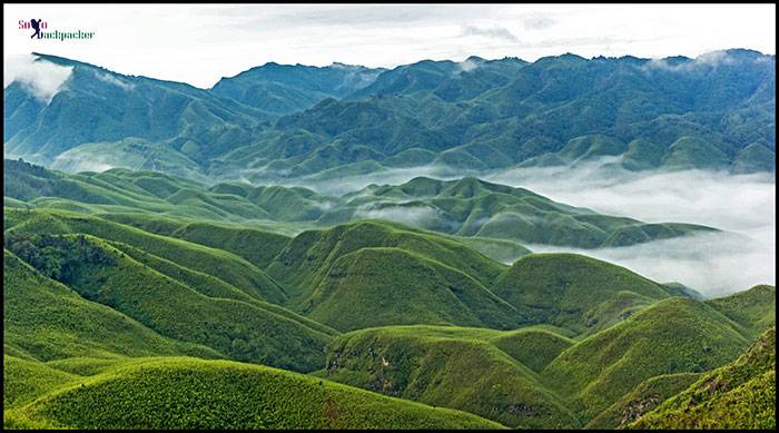 Dzukou Valley: Morning Bliss