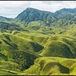 Trekking To The Dzukou Valley