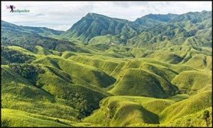 Picturesque Dzukou Valley in North East India