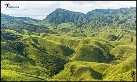 Read more about the article Trekking To The Dzukou Valley