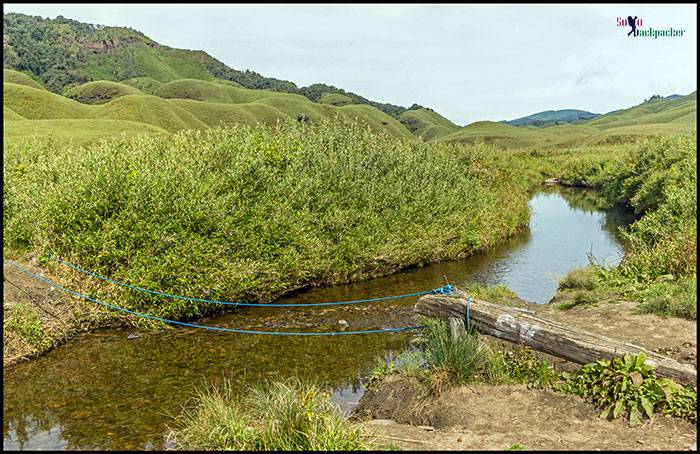 Dzukou Valley: A narrow river in the valley