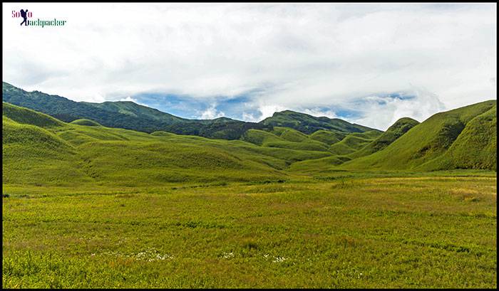 Dzukou Valley: Green Carpet in the lower valley