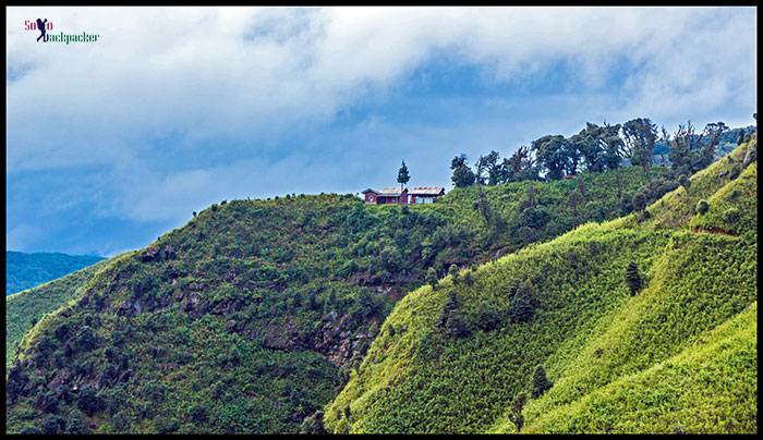 Dzukou Valley: View of the guest house