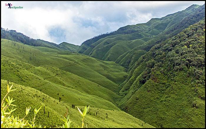 Dzukou Valley: Trail leading to Vishwema Village