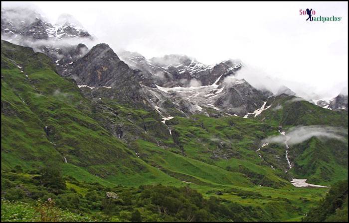 Valley of Flowers: The Paradise