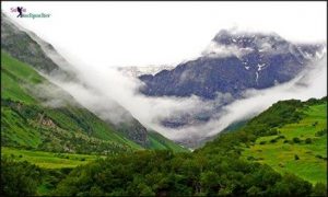 Valley Of Flowers