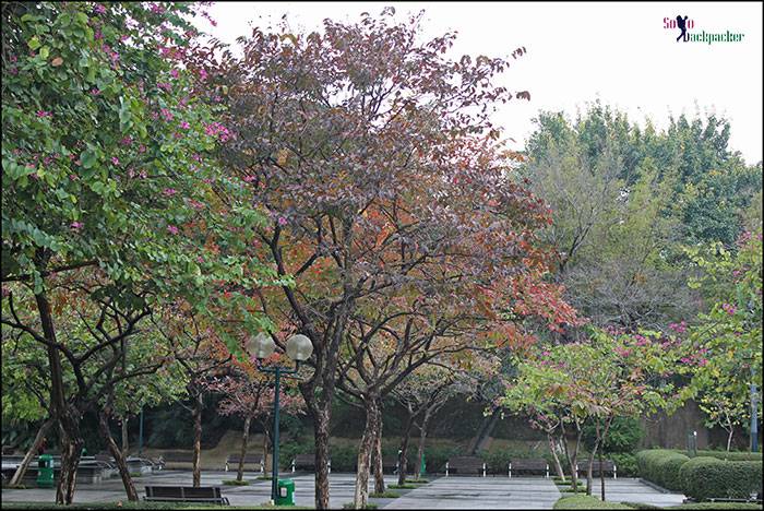 Kowloon City Park