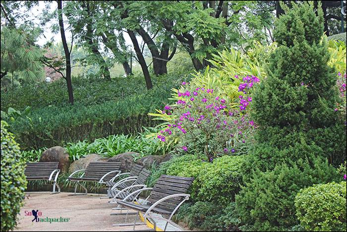 Seating Arrangements in the park