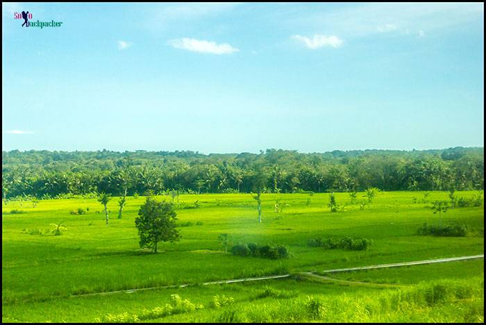 Landscape from the train window