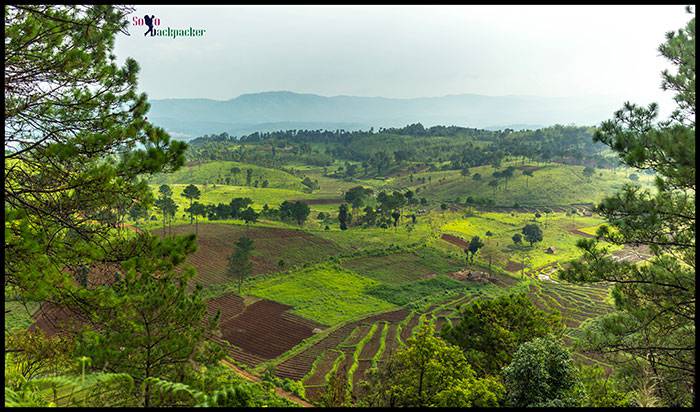 Beautiful Landscape near Mawsiatkhnam Village 