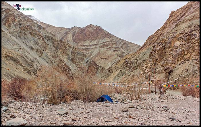 Camping in Hemis National Park