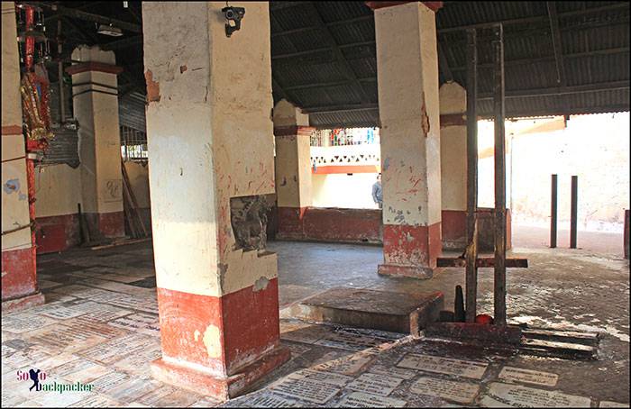 Hall to offer Animal Sacrifices