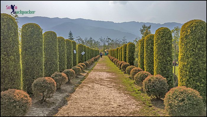 Waroi Garden Picnic Spot