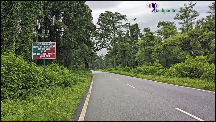 Road leading to Tezu through lush green landscape