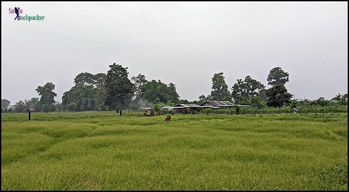 View from the Homestay at Tezu