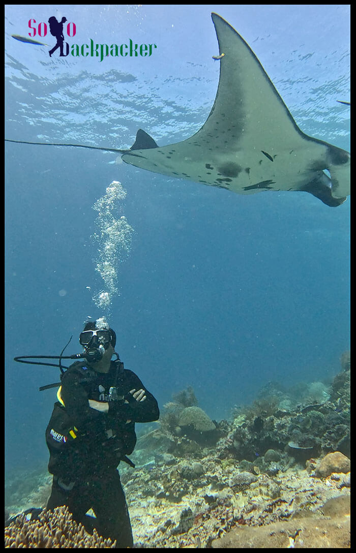 Scuba Diving at Komodo Scuba Diving at Komodo