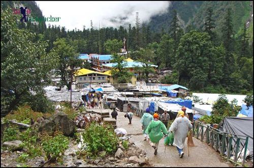 Read more about the article Govindghat to Ghangaria Trek: Complete Guide to the Valley of Flowers Base Camp